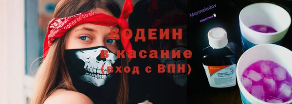 крисы Белоозёрский