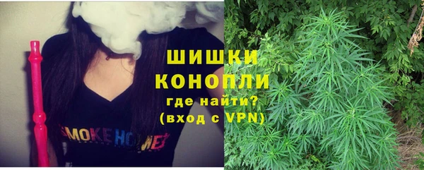 мяу мяу мука Белокуриха