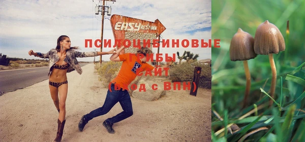 крисы Белоозёрский