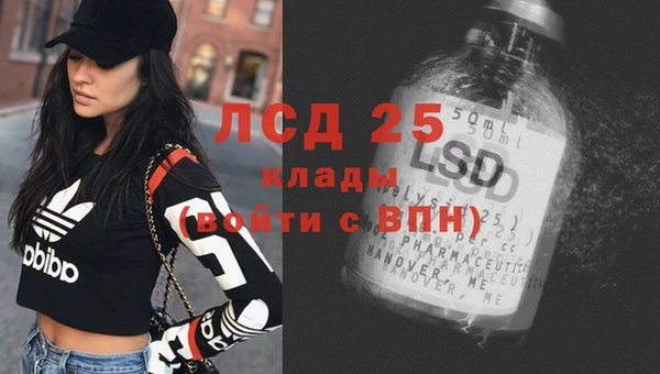 мяу мяу мука Белокуриха