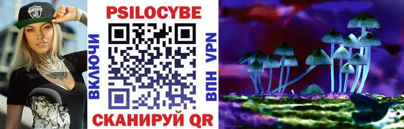 Купить  Нягань  Галлюциногенные грибы GOLDEN TEACHER 