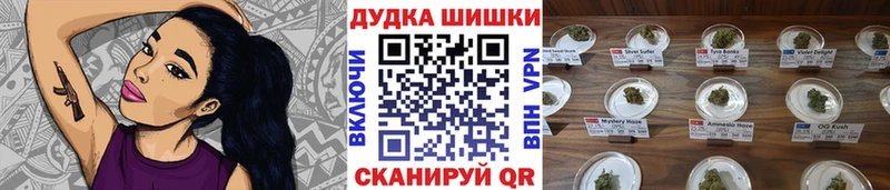 Конопля план Нягань